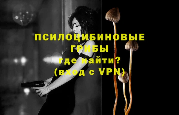 скорость Горно-Алтайск