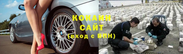шишки Магас