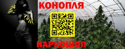 молекула духа Гай