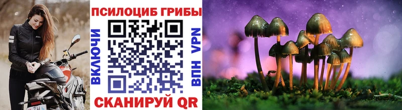 OMG зеркало  Междуреченск  Псилоцибиновые грибы Psilocybine cubensis 