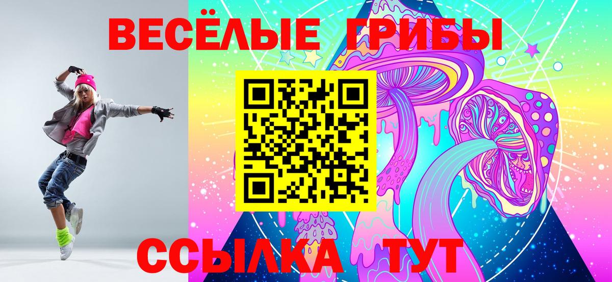 Галлюциногенные грибы Psilocybe Междуреченск