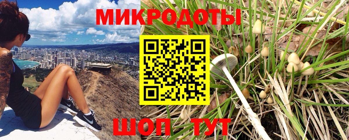 Псилоцибиновые грибы GOLDEN TEACHER  закладки  Междуреченск 